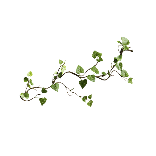 FAQLEAF